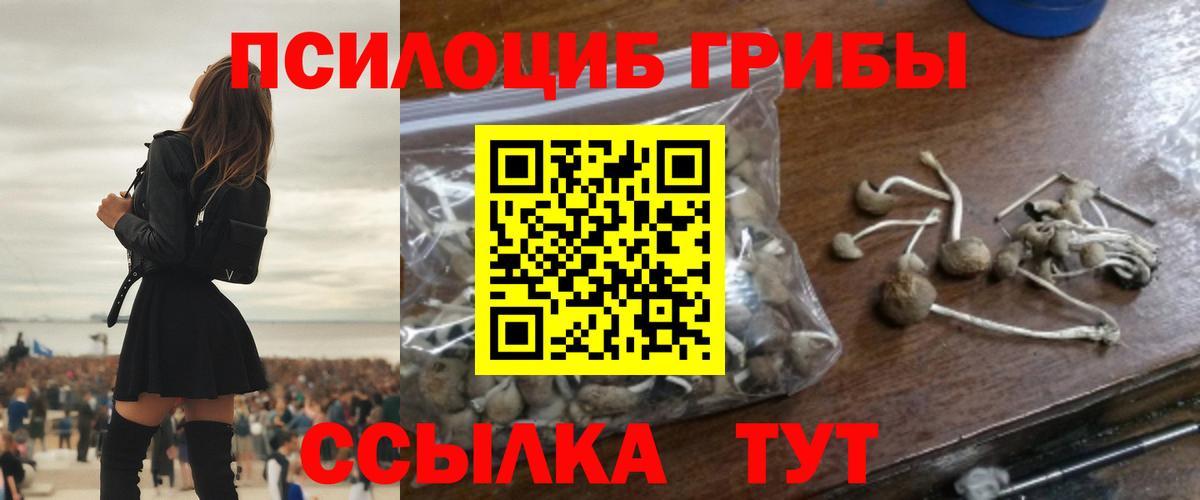 Псилоцибиновые грибы Psilocybine cubensis  Галлюциногенные грибы GOLDEN TEACHER  Вход с VPN  Усолье-Сибирское 