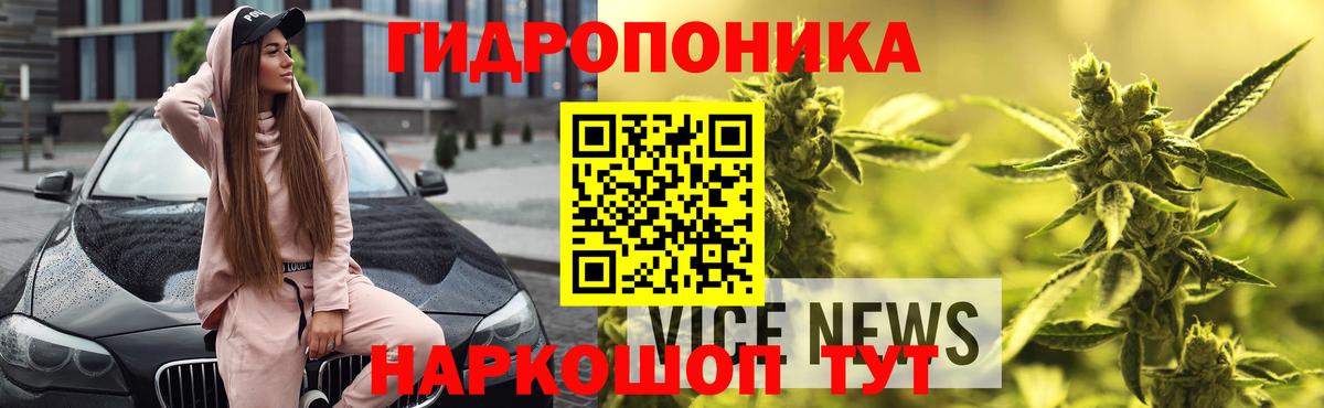 Бошки Шишки VHQ  Бошки Шишки гибрид  Вход с VPN  Усолье-Сибирское  Шишки марихуана гибрид 